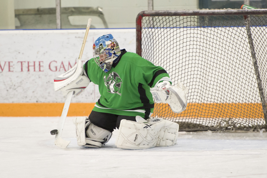 paw goalie equipment