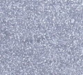 greyultimadry