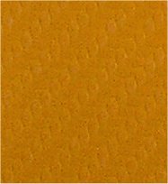 SPORT GOLD