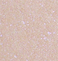 tanultimadry